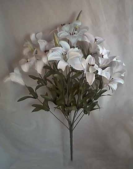 Tiger Lily Bush
